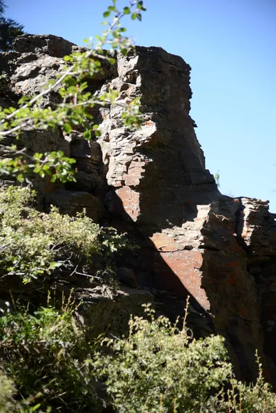 DSC_3850 (Large).JPG